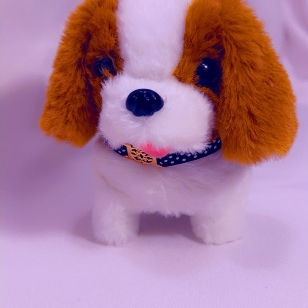 Toy for kids